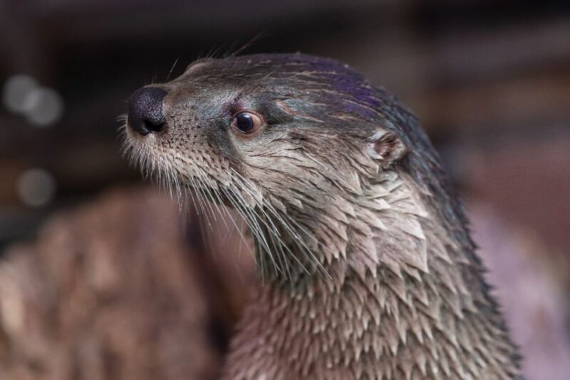 Clearwater: Eco-Certified Marine Aquarium General Admission - FAQ