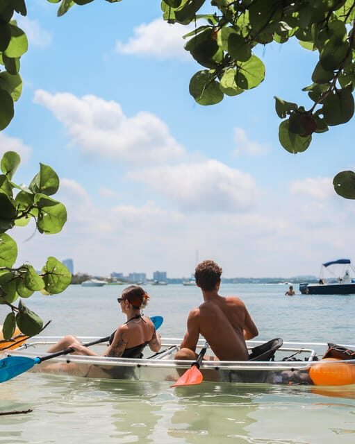 Clearwater: Guided Clear Kayaking Tour - An Overview of the Clearwater Guided Kayaking Experience