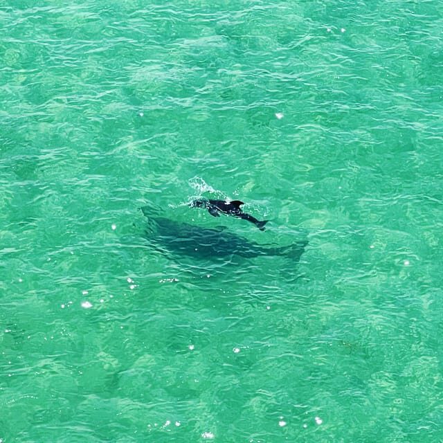 Clearwater: Guided Clear Kayaking Tour - What’s Included and What to Consider