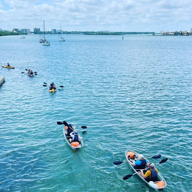 Clearwater: Guided Clear Kayaking Tour - Practical Details and Tips for Your Tour