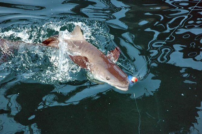 Clearwater Inshore Fishing Charter - FAQs