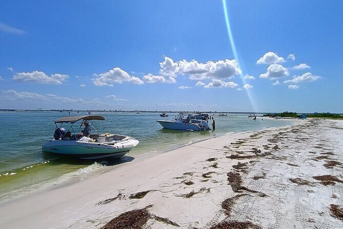 Clearwater Island Escape  Private 4-Hour Half-Day Cruise - Final Words