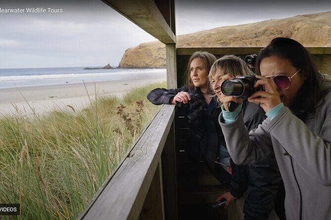 Clearwater Private Penguin & Wildlife Tour from Port Otago (5hrs) - A Detailed Look at the Clearwater Private Wildlife Tour