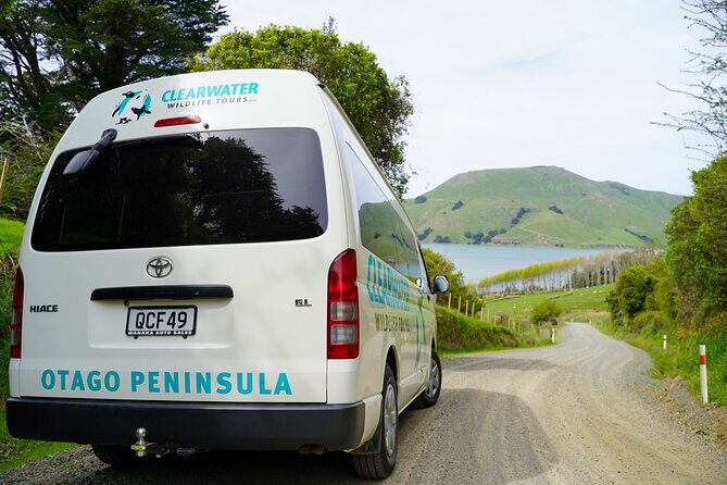 Clearwater Private Penguin & Wildlife Tour from Port Otago (5hrs) - Who Will Love This Tour?
