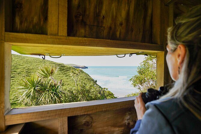 Clearwater Private Penguin & Wildlife Tour from Port Otago (5hrs) - Final Thoughts