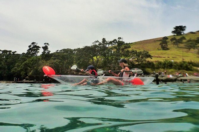 Clearyak hire at Goat Island Marine Reserve - Practical Tips for Your Kayaking Adventure