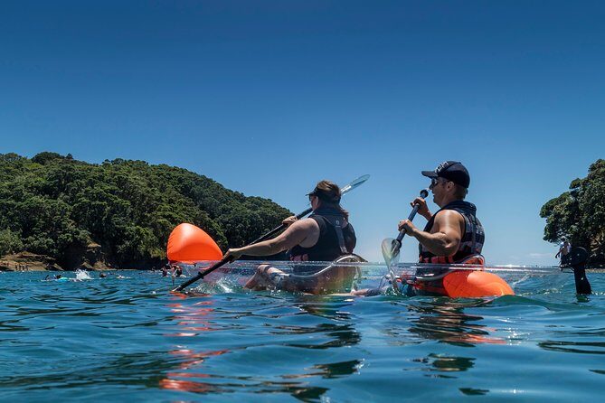 Clearyak hire at Goat Island Marine Reserve - The Sum Up: Who Will Love Clearyak at Goat Island?