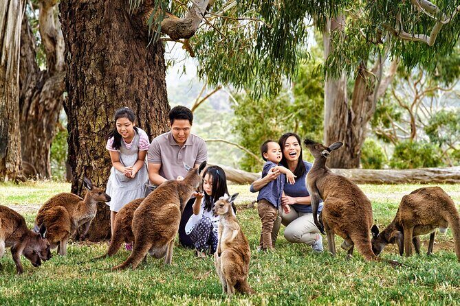 Cleland Wildlife Park Experience - from Adelaide including Mt Lofty Summit - FAQs