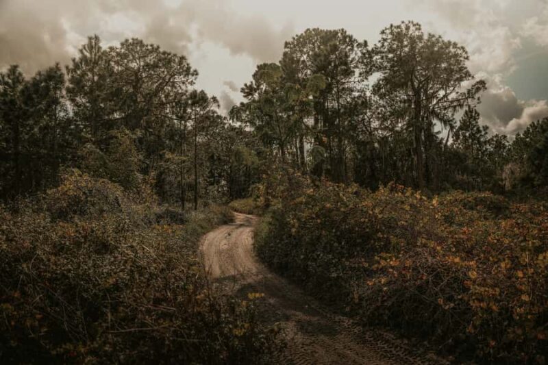Clermont: Off Road UTV Experience - 1 HR - Authenticity and Experience Quality