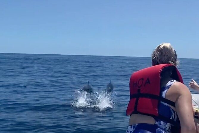 Cliff's of Hawai'i Onomea Waterfall Cruise - FAQ