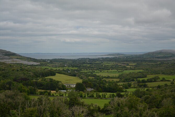 Cliffs of Moher and Burren Private Tour from Galway - Reviews and Insights from Past Travelers