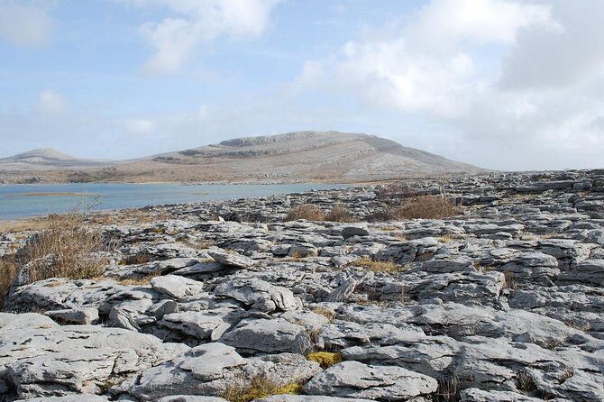 Cliffs of Moher and Galway City Day Tour from Dublin - Who Would Love This Tour?