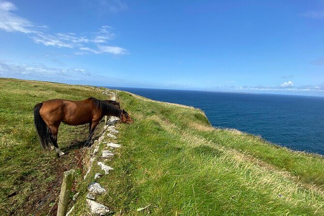 Cliffs of Moher Hiking Tour from Galway - Small Group - Why Choose the Cliffs of Moher Hiking Tour from Galway?