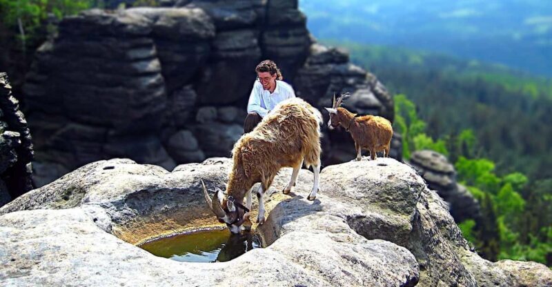 Climb the mountains together with goats - Key Points