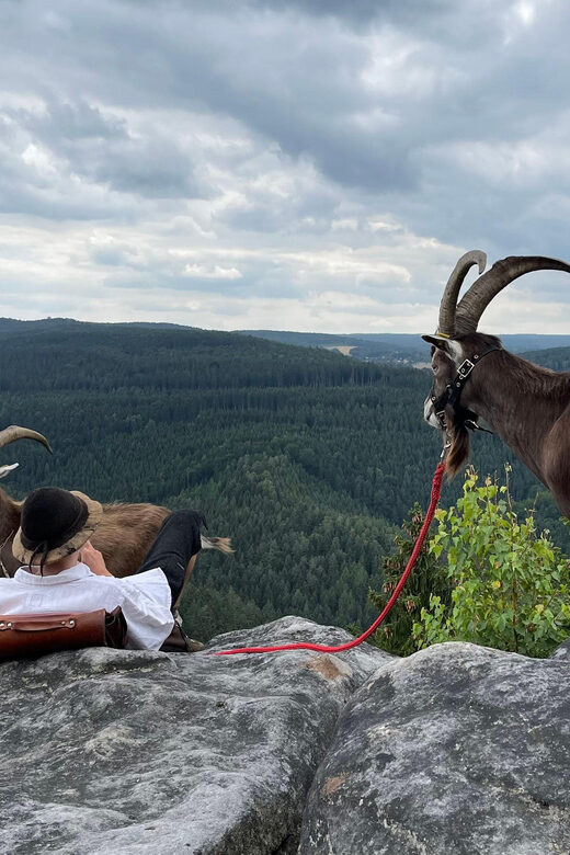 Climb the mountains together with goats - Final Thoughts