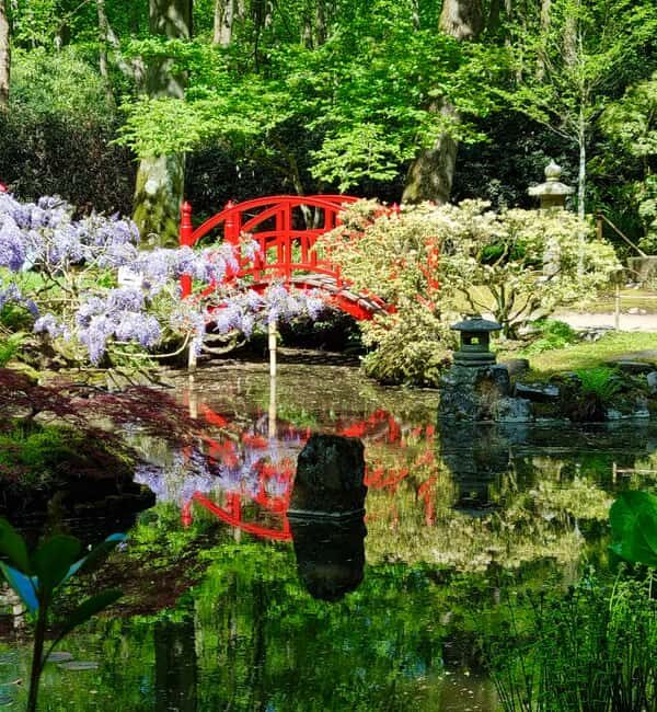 Clingendael: Japanse tuin - Key Points