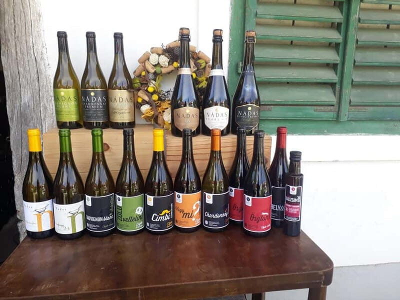 Close to Budapest:Wine Tasting in a Small Cozy Family Winery - A Review of the Close to Budapest: Wine Tasting in a Small Cozy Family Winery