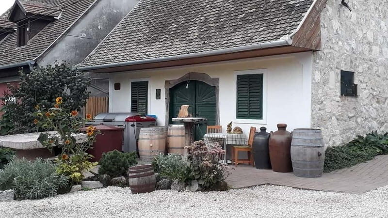 Close to Budapest:Wine Tasting in a Small Cozy Family Winery - Final Thoughts