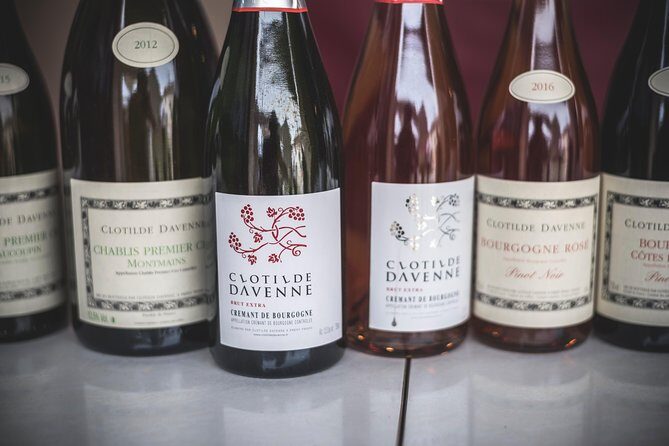 Clotilde Davenne wine and cheese pairing tasting in Chablis - Who Should Consider This Experience?