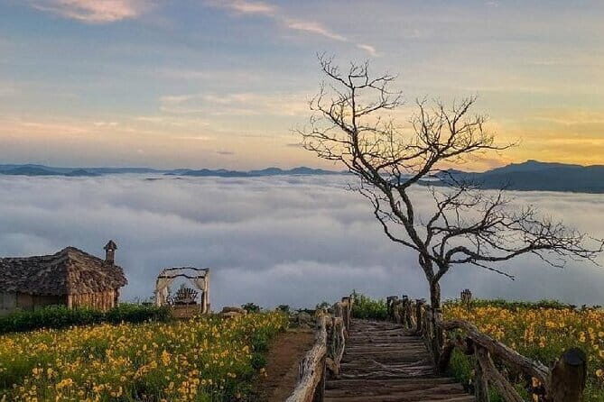 Cloud Hunting and The Glow of Dawn Tour in Da Lat - The Magic of Sunrise in Da Lat