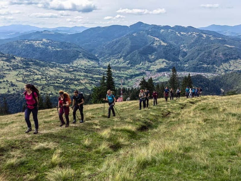Cluj Napoca: Rodnei Mountains Full-Day Guided Hiking Tour - The Experience in Detail