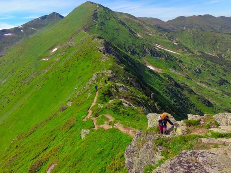 Cluj Napoca: Rodnei Mountains Full-Day Guided Hiking Tour - The Sum Up