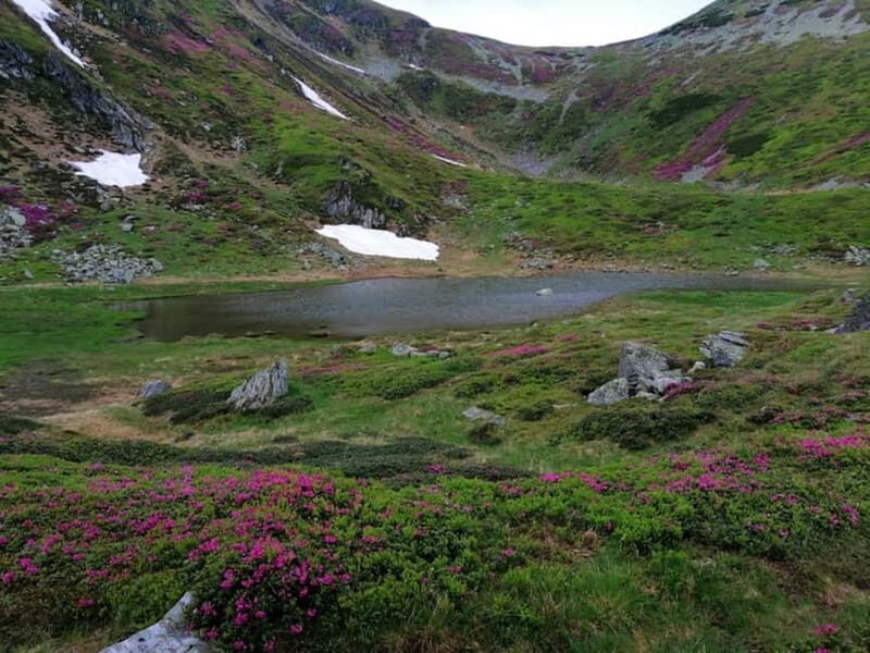 Cluj Napoca: Rodnei Mountains Full-Day Guided Hiking Tour - FAQ