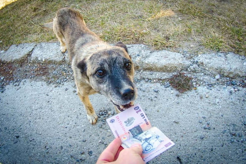 Cluj-Napoca Urban Photography for Beginners Workshop - Who Should Consider This Workshop?