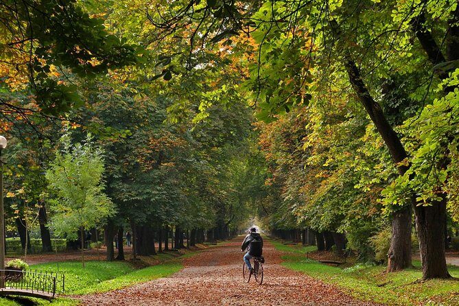 Cluj-Napoca Walking City Tour - A Deep Dive into the Cluj-Napoca Walking Tour