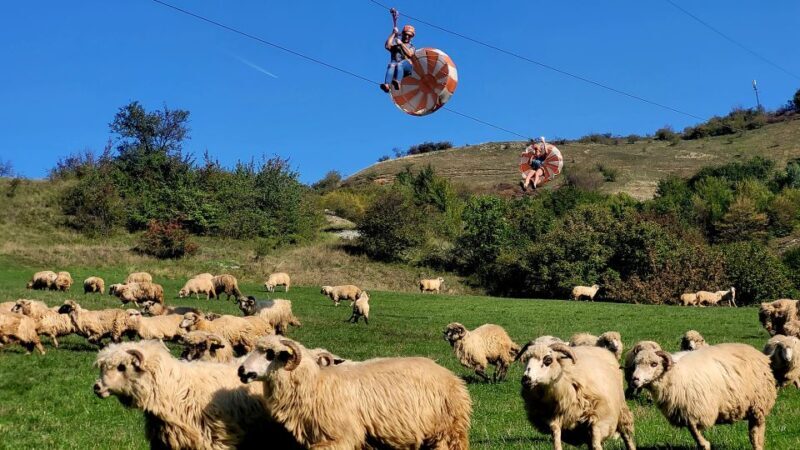 Cluj: Outdoor Activities Day Trip with Zip Line and Hike - The Overall Value