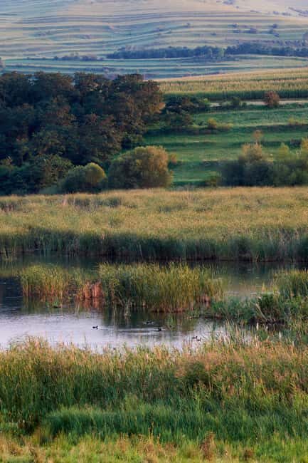 Cluj: Private Nature and Wildlife Photography Class - An In-Depth Look at the Cluj Private Photography Class
