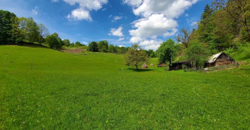 Cluj to Rosia: Day Trip to Ferrata and pittoresque country - An Authentic Romanian Countryside Adventure