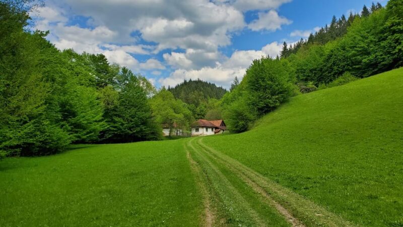 Cluj to Rosia: Day Trip to Ferrata and pittoresque country - Practical Details and Value