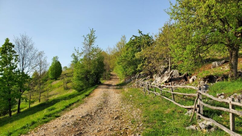 Cluj to Rosia: Day Trip to Ferrata and pittoresque country - Who Will Love This Tour?