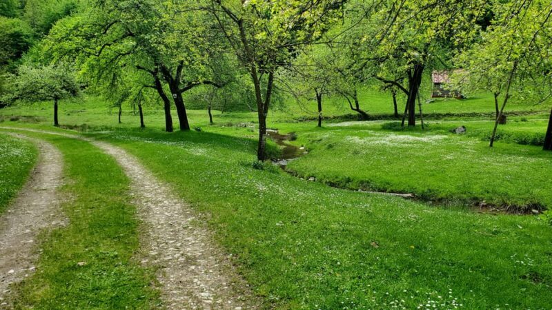 Cluj to Rosia: Day Trip to Ferrata and pittoresque country - FAQ