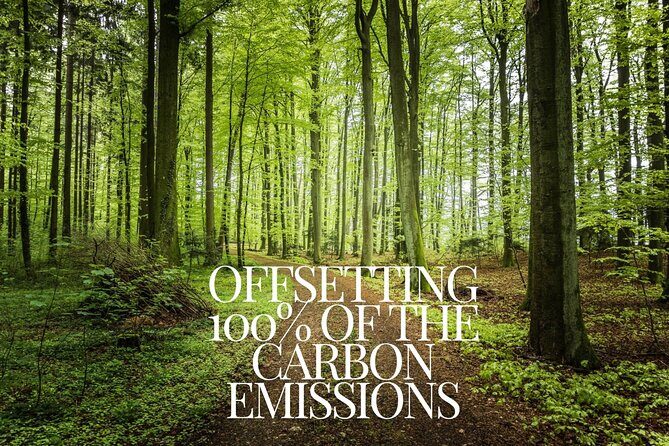 CO2-Offset Departure Transfer Split City to Split Airport SPU - Pricing: Is It Worth It?