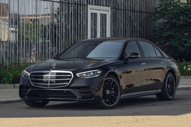 CO2-Offset Private Departure from Vilnius city to Vilnius Airport - Key Points