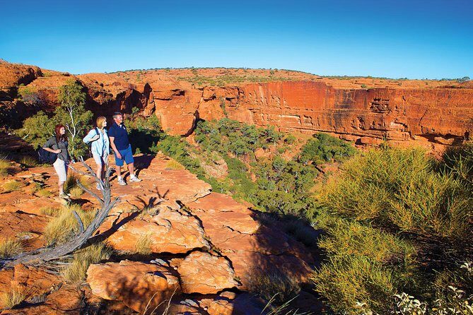 Coach Transfer from Ayers Rock (Uluru) to Kings Canyon - Final Thoughts: Is This the Right Choice for You?