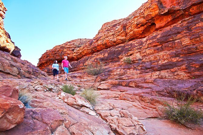 Coach Transfer from Kings Canyon Resort to Ayers Rock (Uluru) - Analyzing the Price and Value