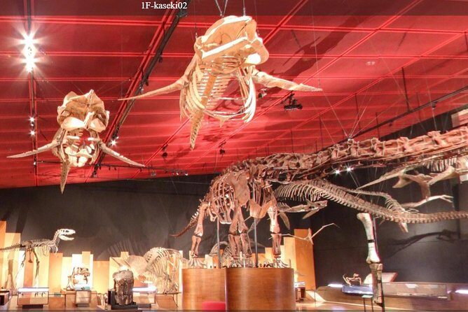 Coal & Fossil Museum Admission Ticket - Introduction