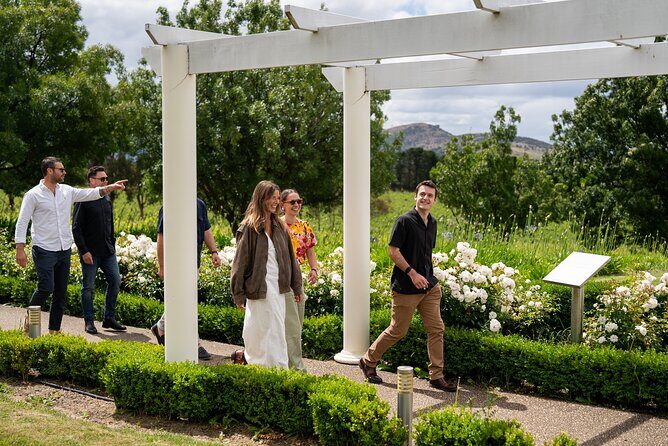 Coal River Wine Hopper - Authentic Feedback from Travelers