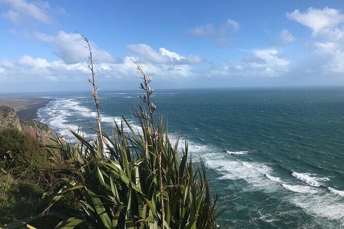 Coast and Rainforest Eco-Tour from Auckland with Picnic Lunch - What to Wear and Bring