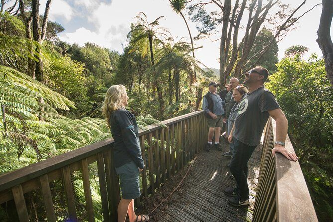 Coast and Rainforest Eco-Tour from Auckland with Picnic Lunch - Authentic Experiences and Highlights from Reviewers