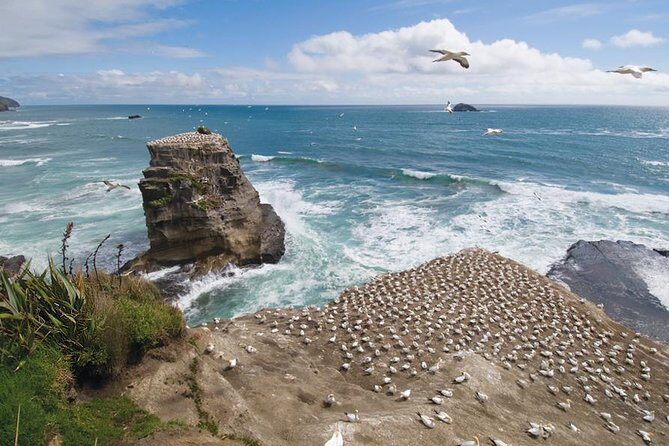 Coast to Coast Private Eco Tour - Key Points