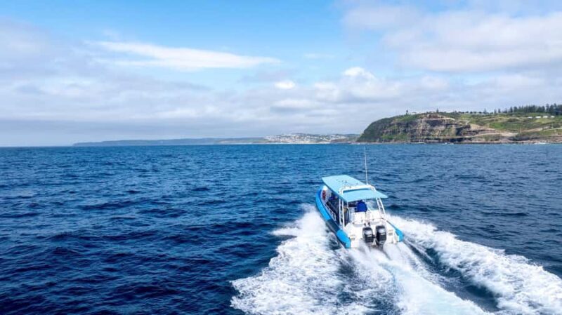 Coastal 2.5-hour Adventure Boat Tour from Newcastle - An In-Depth Look at the Coastal Adventure Boat Tour