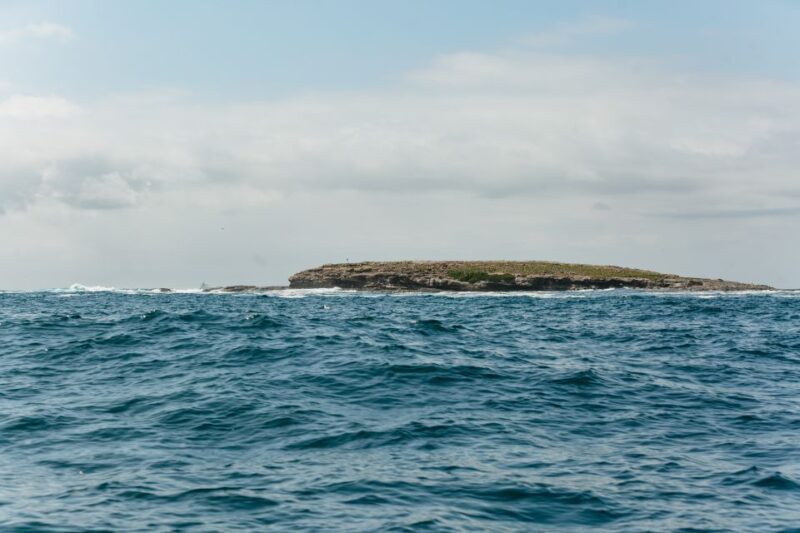 Coastal 2.5-hour Adventure Boat Tour from Newcastle - FAQ