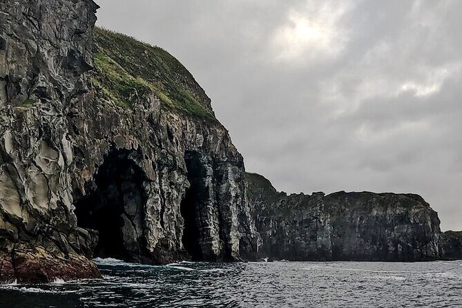 Coastal boat tour in Ribeira Grande and Porto Formoso - The Sum Up