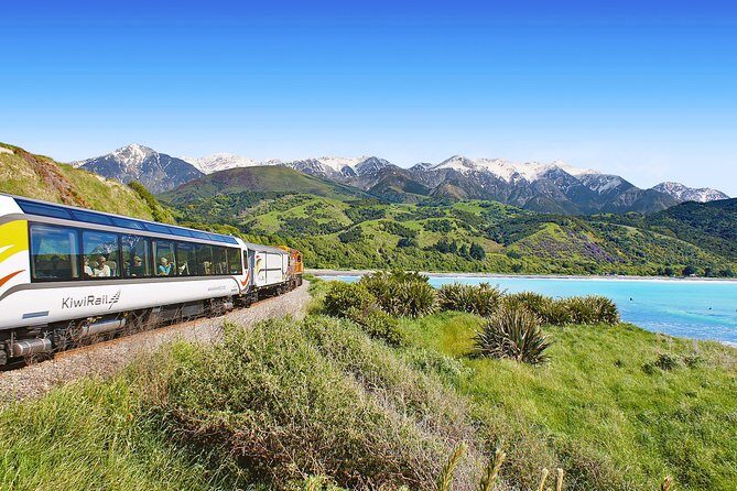 Coastal Pacific Train Journey from Christchurch to Picton - An In-Depth Look at the Journey