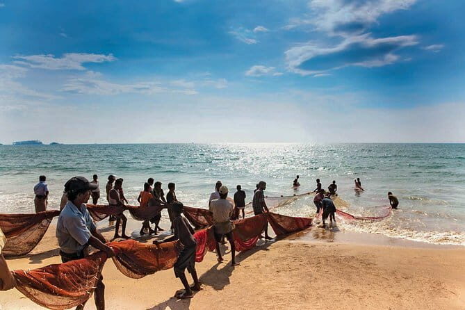 Coastal Ride to Galle from Panadura - Transport and Logistics