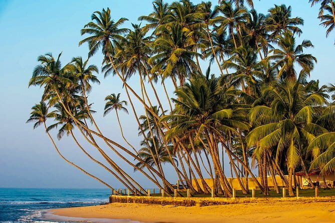 Coastal Ride to Galle from Panadura - Final Thoughts: Is This Tour Worth It?